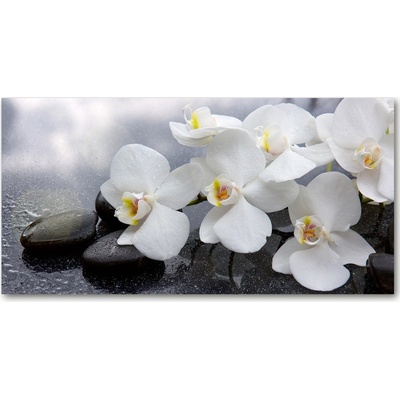 Fotoobraz na skle orchidea 100x50 cm