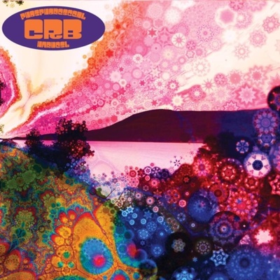 CHRIS ROBINSON BROTHERHOOD: PHOSPHORESC CD