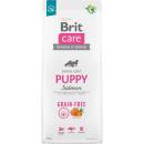 Brit Grain-free Puppy Salmon & Potato - със сьомга, за кучета от 1 до 12 месеца 12 кг