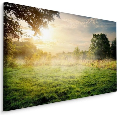 Plátno Ráno Lesní Mýtina Varianta: 90x60