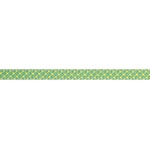 Beal въже за катерене Stinger Unicore 9, 4 mm 70 m, анасон (TO.BC094S.70.A)