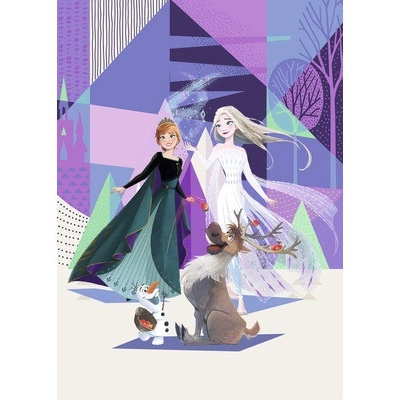 IADX4-059 Fototapeta vliesová Frozen Abstract Arendelle rozměry 200x280 cm