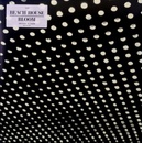 Beach House Bloom (VINYL)
