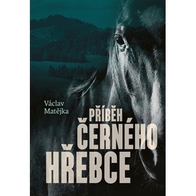 Příběh černého hřebce