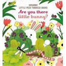 Are you there Little Bunny? Sam Taplin