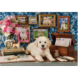 Anatolian - Puzzle Labrador - 500 piese