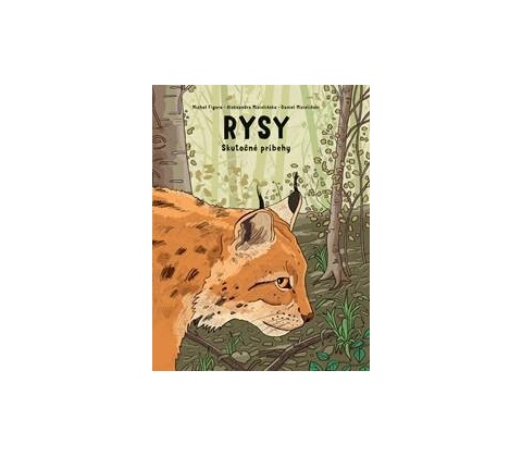 Rysy