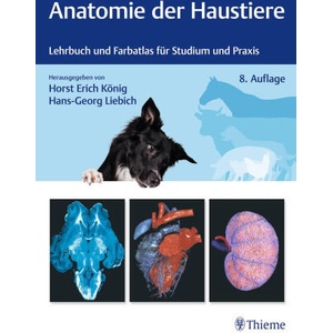 Anatomie der Haustiere | Hans-Georg Liebich (2024)