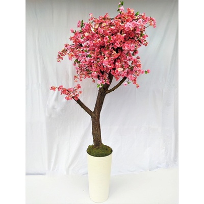 Kvitnúci strom- Japonská čerešňa 180cm