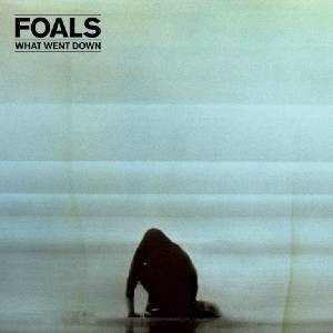 Warner Foals: What Went Down - CD+DVD (010694)