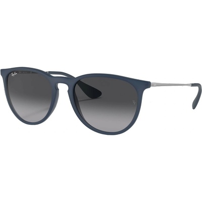 Ray-Ban Erika Color Mix RB4171 60028G – Hledejceny.cz