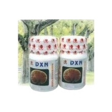 DXN Reishi Mushroom prášok 70 g