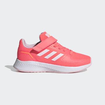 adidas falcon 34