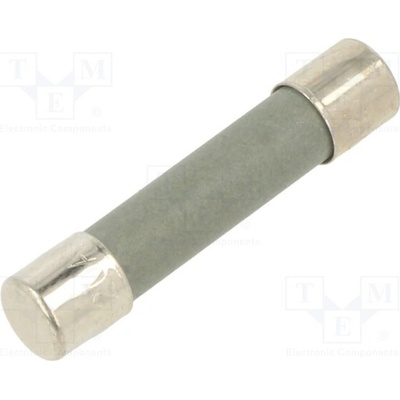 EATON/BUSSMANN BK-GBB-20-R Pojistka: tavná; keramická,kulatý; 20A; 250VAC; 125VDC; 6,3x32mm