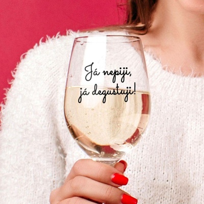 Ahome sklenice na víno Nepiji degustuji 450 ml