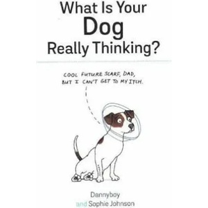 What Is Your Dog Really Thinking? | Sophie Johnson (2016)