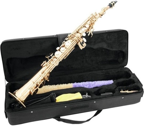 Dimavery SP-10