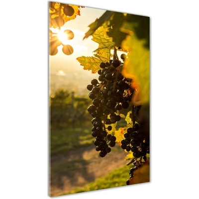 Vertikálny foto obraz sklo tvrdené vinice 50x100 cm