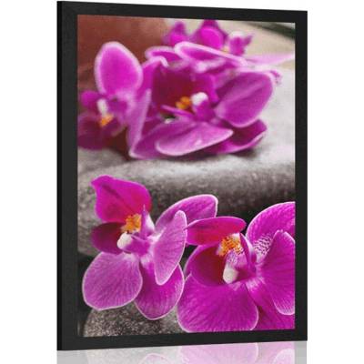 Plakát nádherná orchidej a Zen kameny - 60x90 no frame