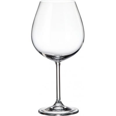 Crystalite Bohemia Sklenice colibri na červené víno 650 ml