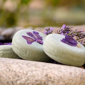 Ponio tuhý šampon kopřivový Dvojitá levandule 30 g