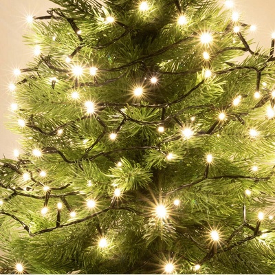 Home KII 100/WW LED reťazové svetlo, 8 m / 100 LED diód teplej bielej, stále svietenie, zelený vodič, sieťový adaptér, interiérové prevedenie