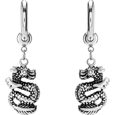 Steel Edge Náušnice z chirurgickej ocele s drakom WJHE1274