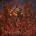 Cannibal Corpse - Chaos Horrific (LP) (0039841604313)