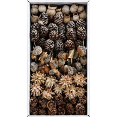 SORTIMENT ON WIRE NATURAL TRAY ( 100 PC )