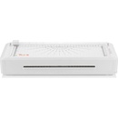 Peach PBP351