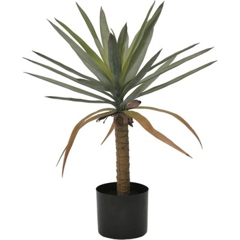 Bizzotto Растение Dracaena с ваза, H62 см (0173041)
