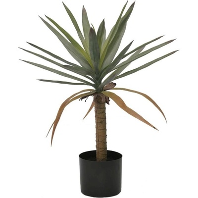 Bizzotto Растение Dracaena с ваза, H62 см (0173041)