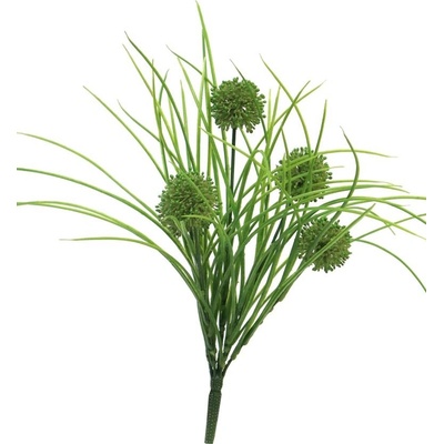 Česnek okrasný - Allium x3 zelená s trávou 39 cm