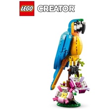 LEGO® Creator 31136 Exotický papoušek