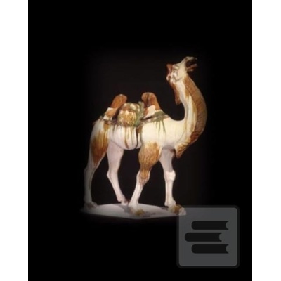 Silk Roads - Sue Brunning