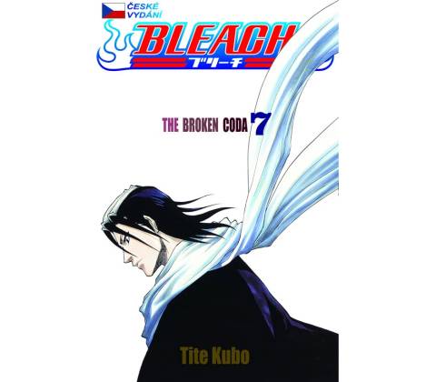 Bleach 7
