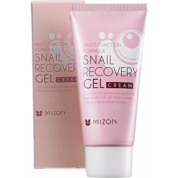 Mizon Snail Recovery Gel na Problematickou Pleť 45 ml