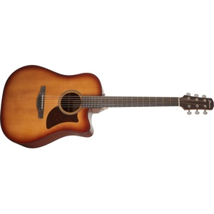 Ibanez AAD50CE-LBS