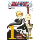 Bleach 1 - Tite Kubo