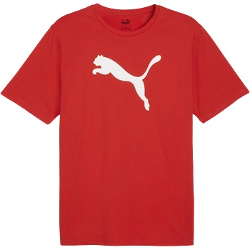 PUMA Тениска Puma teamRISE Logo Jersey Cotton 658705-01 Размер S