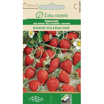 Image 1 of Seklos Ягоди Барон Солемахер Fragaria vesca Baron Solemacher