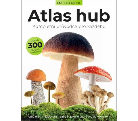 Atlas hub