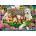Castorland - Puzzle Pets in the Park - 180 piese