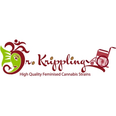 Dr. Krippling Seeds Dizzy Lights AUTO semena neobsahují THC 10 ks