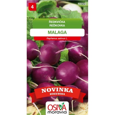 Aros Semena Ředkvička Malaga