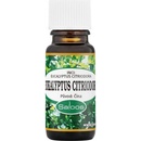Vonné oleje Saloos esenciální olej Eukalyptus Citriodora 10 ml