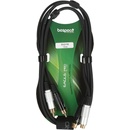 Bespeco EA2X150