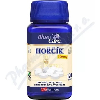 VitaHarmony Hořčík 300 mg 120 tabliet