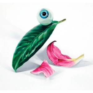 DELS - Petals Have Fallen (Limited Edition) (LP) (5021392960166)