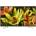 Sony Bravia KD-70XF8305